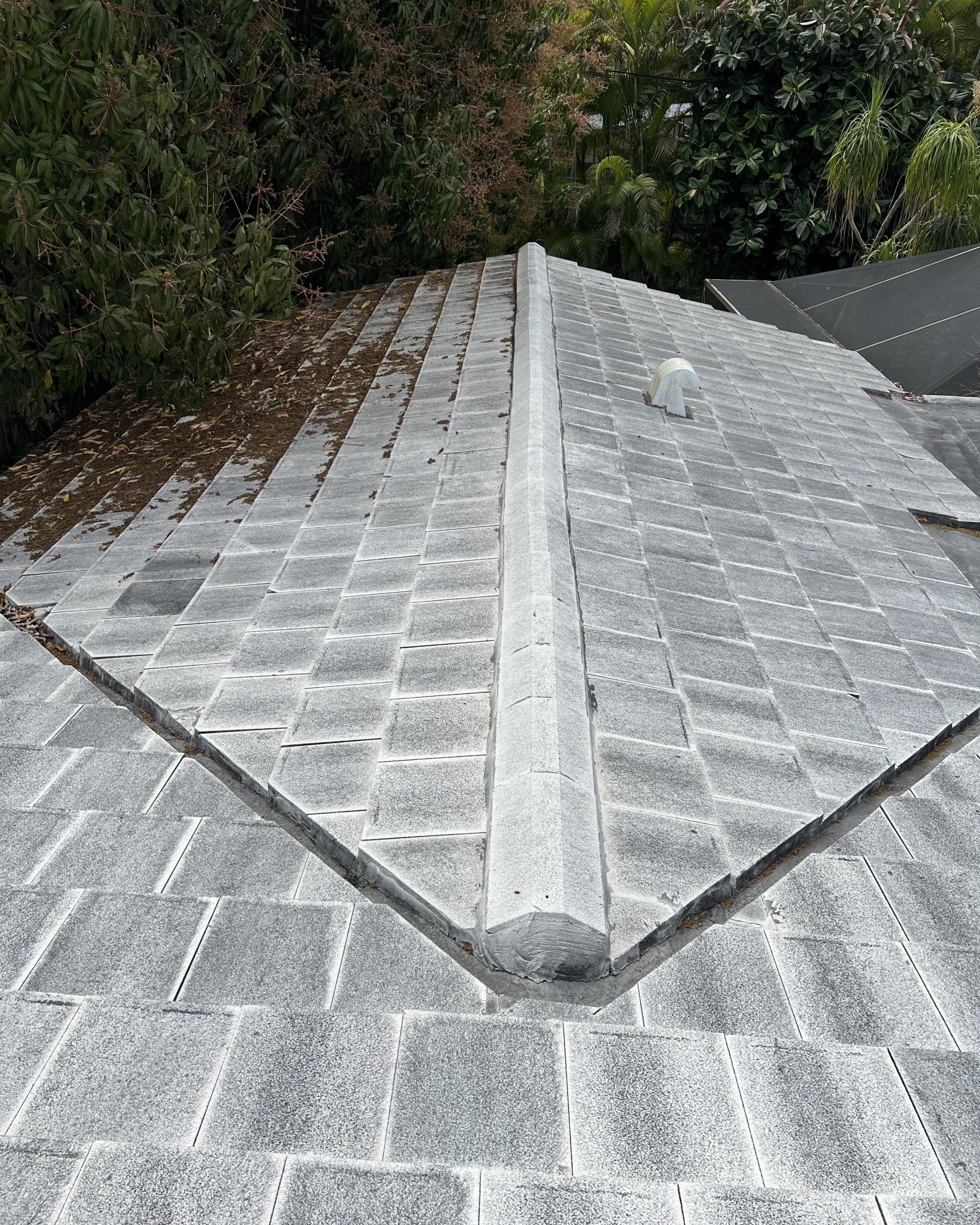 Roof Cleaning in Pinecrest, Florida