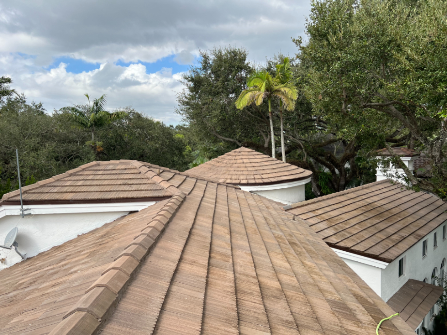 Roof cleaning